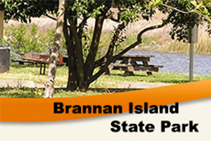 rv brannan island state park campgrounds parks delta