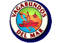 vdm