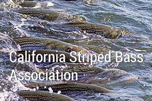 csba