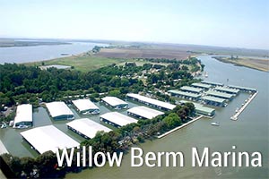 willowberm